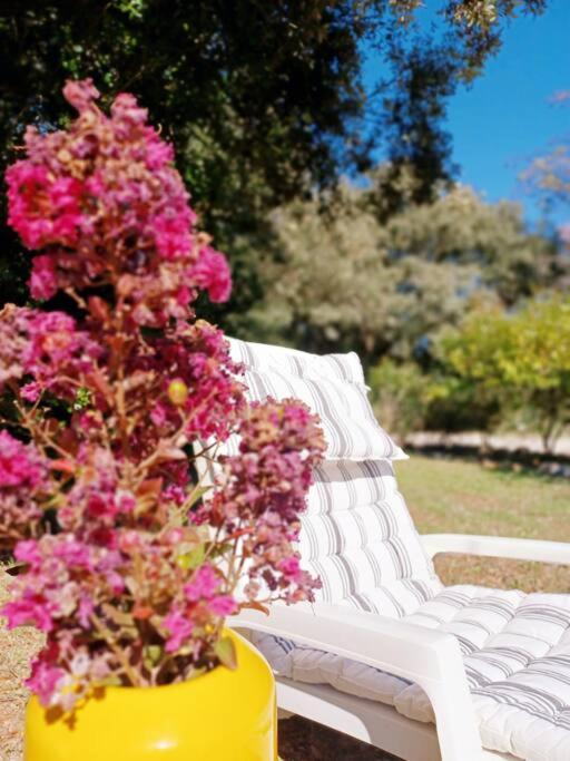 Studio Avec Jardin Entre Aix-En-Provence, Luberon Et Verdon Peyrolles-en-Provence Exteriör bild